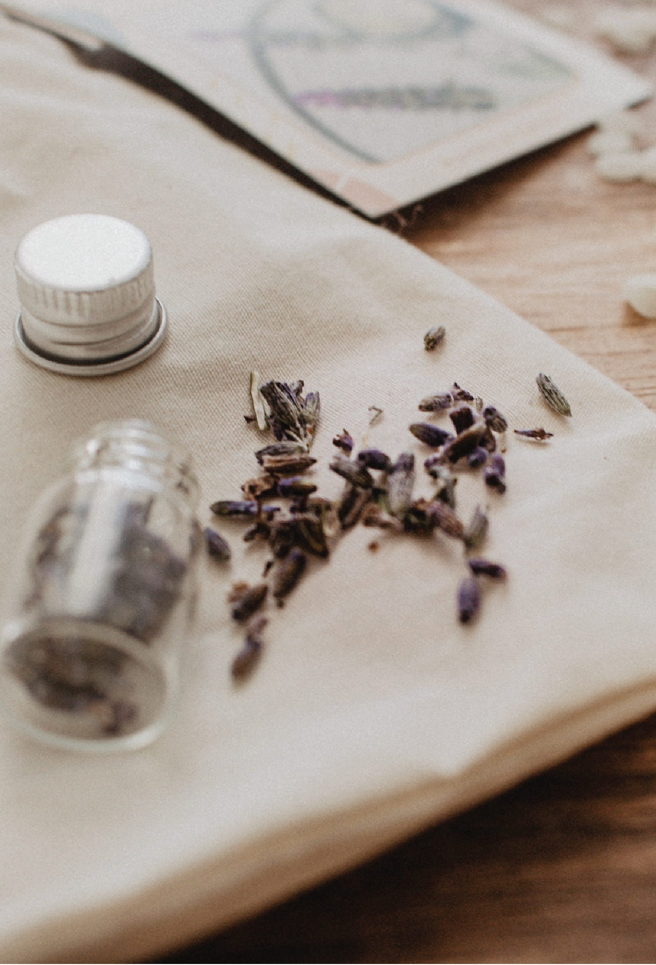 LAVENDER LIP BALM // MINI