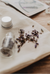 LAVENDER LIP BALM // MINI